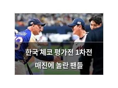 한국 체코 평가전 1차전 매진에 놀란 팬들