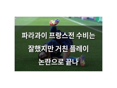 파라과이 프랑스전 수비는 잘했지만 거친 플레이 논란으로 끝나