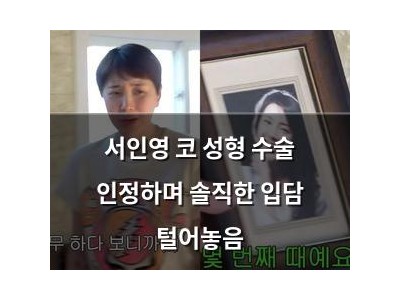 서인영 코 성형 수술 인정하며 솔직한 입담 털어놓음