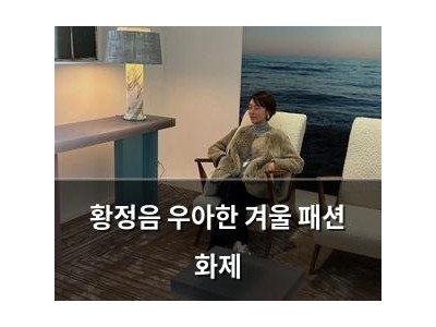 황정음 우아한 겨울 패션 화제