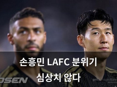 손흥민 LAFC 분위기 심상치 않다