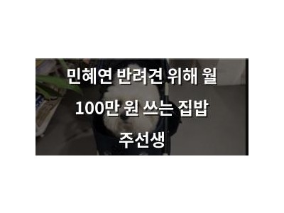 민혜연 반려견 위해 월 100만 원 쓰는 집밥 주선생