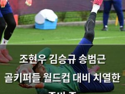 조현우 김승규 송범근 골키퍼들 월드컵 대비 치열한 준비 중