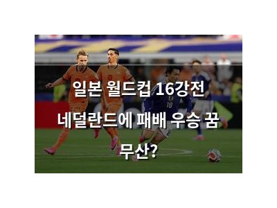 일본 월드컵 16강전 네덜란드에 패배 우승 꿈 무산?