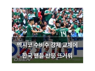 멕시코 수비수 강제 교체에 한국 팬들 반응 뜨거워