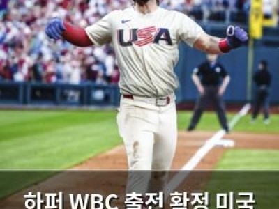 하퍼 WBC 출전 확정 미국 라인업 강화