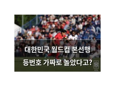 대한민국 월드컵 본선행 등번호 가짜로 놀았다고?
