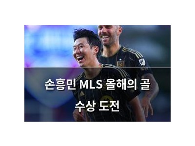 손흥민 MLS 올해의 골 수상 도전