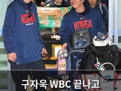 구자욱 WBC 끝나고 귀국했네 삼성 팬들 반응은?