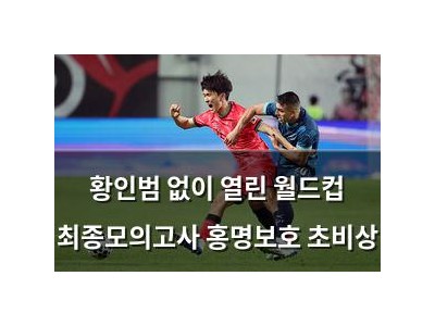 황인범 없이 열린 월드컵 최종모의고사 홍명보호 초비상