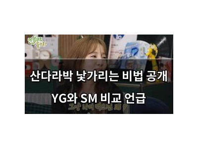 산다라박 낯가리는 비법 공개 YG와 SM 비교 언급